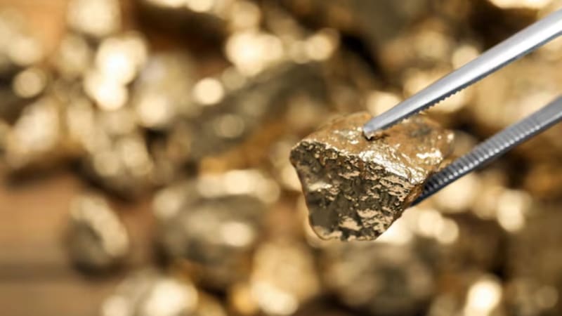 El hallazgo del siglo: la historia del descubrimiento de las monedas de oro. (Fuente: Archivo)