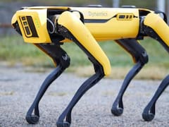 Los perros robot de “Black Mirror ya “patrullan las calles contra el COVID-19