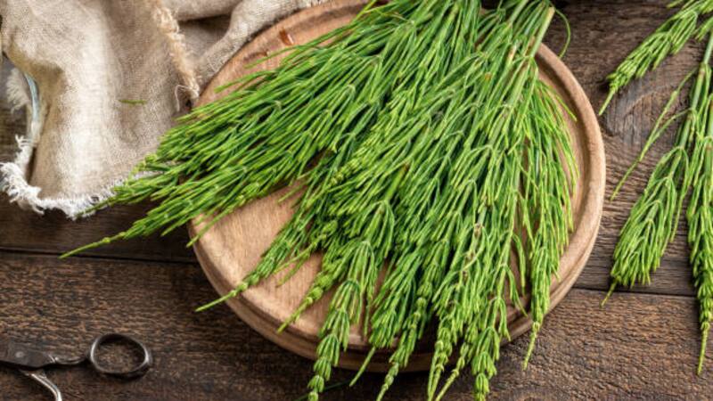 <div class="migrated-promo-image__description"><div class="migrated-promo-image__source">Fuente: iStock</div></div>