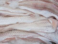 ¿Semana Santa sin pescado? Sigue el conflicto que tiene en vigilia a la industria pesquera