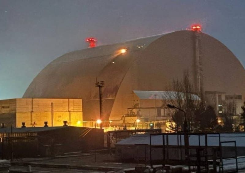 Terrible hallazgo: este hongo mutante de Chernóbil se alimenta de energía atómica y tiene una forma muy espeluznante. (Imagen: archivo)