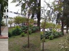 Tensión en la Universidad de La Plata: un preso fue a rendir un examen pero se quiso escapar