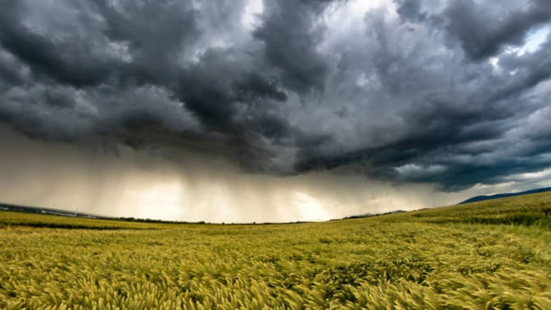 Una semana bajo agua: se esperan fuertes lluvias en estas regiones de México. Fuente: Shutterstock.