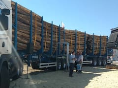 Cómo es el nuevo bitren que se presentó en Expoagro