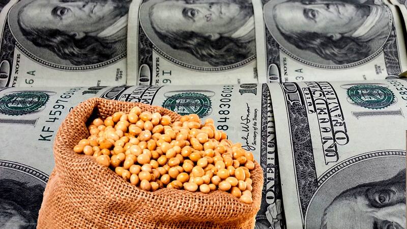 "El dólar soja es un fiasco": el contundente análisis del máximo gurú de la city.