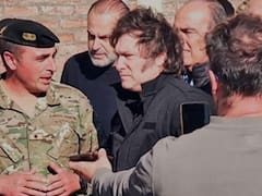 Dolor más política: dolor al cuadrado