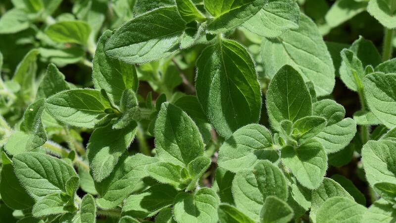 <div class="migrated-promo-image__description"><div class="migrated-promo-image__source">Fuente: Pixabay</div></div>