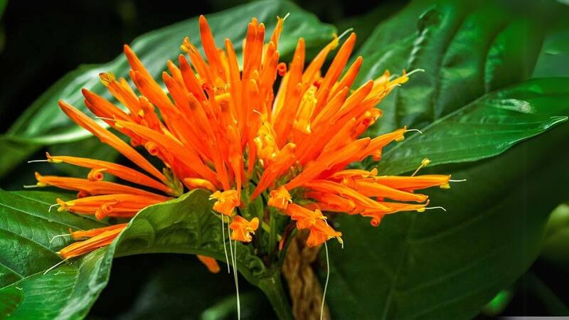 <div class="migrated-promo-image__description"><div class="migrated-promo-image__source">Fuente: Archivo</div></div>