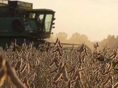 Campo: confianza tras las PASO y expectativas para la economía sectorial