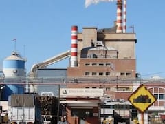 Con nuevo dueño, la Justicia abrió el concurso preventivo de Celulosa Argentina