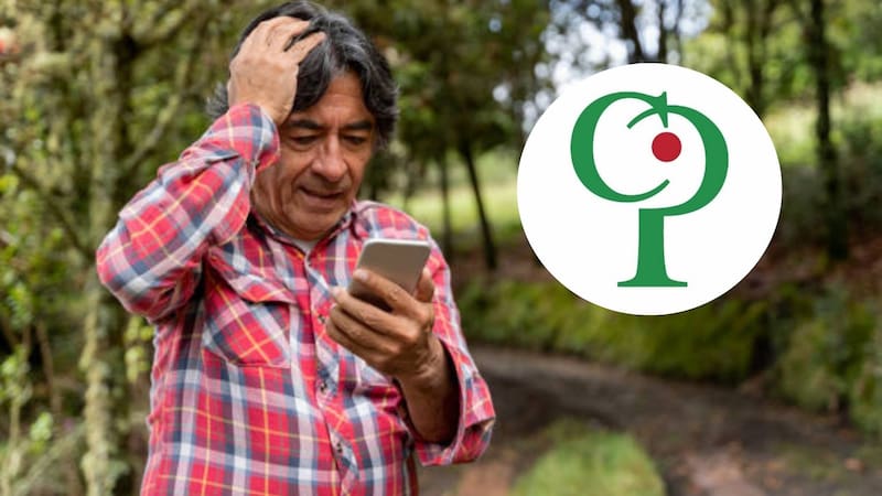 Comenzar el proceso con anticipación te dará tiempo suficiente para asegurarte de cumplir todos los requisitos (Fuente: Edición propia).