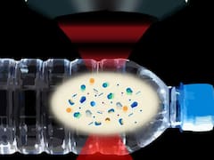 Ya está confirmado | casi todas las botellas de agua contienen microplásticos que pueden ser dañinas para la salud