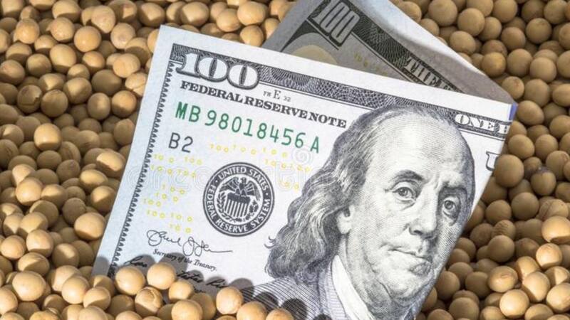 <div class="migrated-promo-image__description"><div class="migrated-promo-image__source">Fuente: dreamstime.com</div><div class="migrated-promo-image__author">El Cronista</div></div>