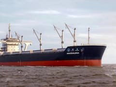 Presentaron el proyecto de buque granelero Clase Magdalena