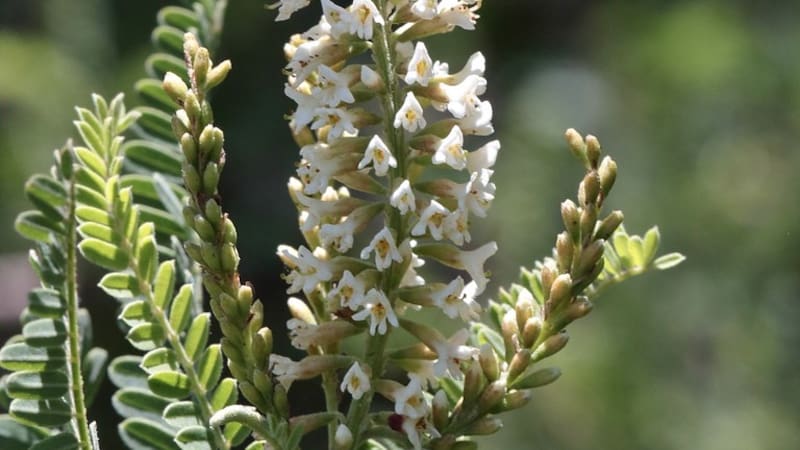 <div class="migrated-promo-image__description"><div class="migrated-promo-image__source">Fuente: Pinterest</div></div>