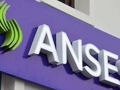 Jubilaciones y blanqueo: el dictamen borró el límite a la deuda pública en manos de la ANSeS