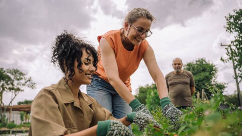 <div class="migrated-promo-image__description"><div class="migrated-promo-image__source">Fuente: iStock</div></div>