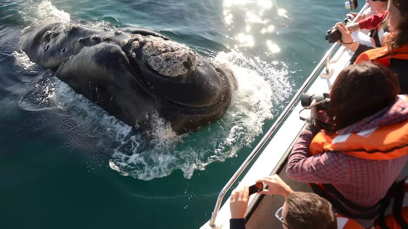 Es una de las actividades más increíbles para realizar.