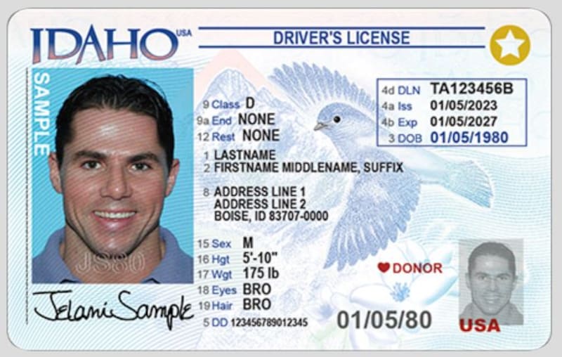 La estrella en la esquina superior derecha es la manera de identificar una licencia Real ID. Fuente: archivo.