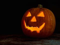 El zoológico mexicano que abre 5 casas del terror por Halloween y tiene entradas a 310 pesos: cuándo es y dónde queda