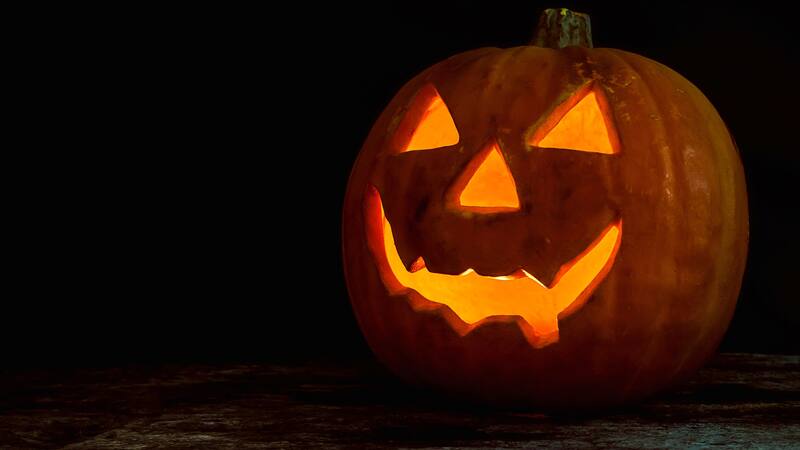 Con 5 casas de terror, este zoológico mexicano se suma a la fiesta de Halloween para disfrutar en familia.