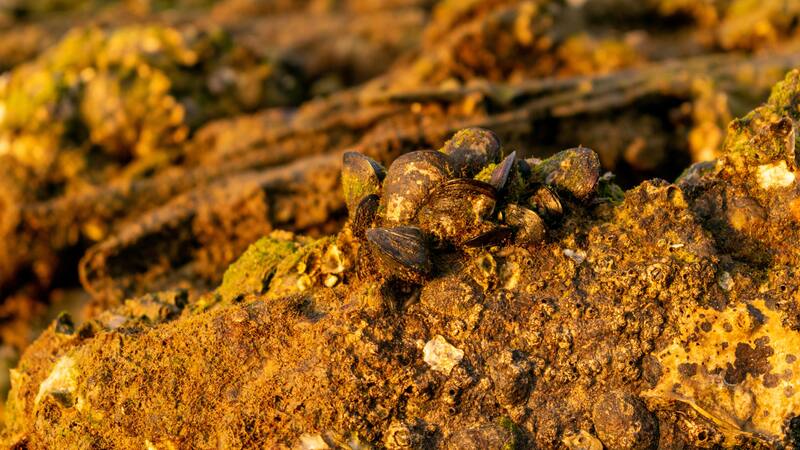 <div class="migrated-promo-image__description"><div class="migrated-promo-image__source">Fuente: Freepik</div></div>