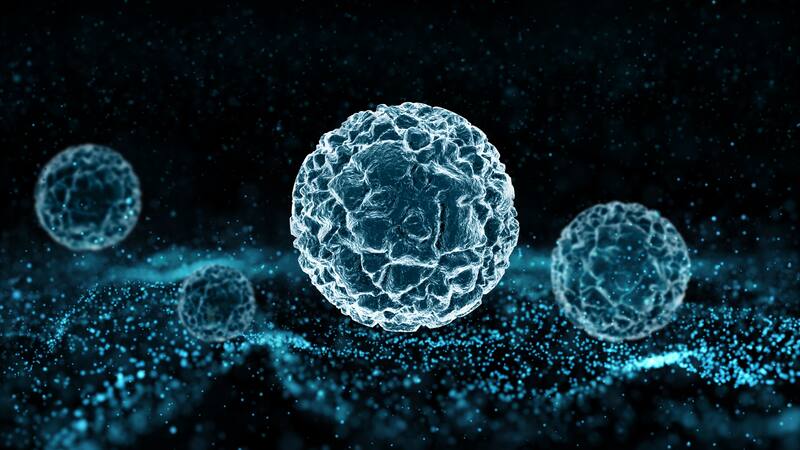 Conocé todos los detalles de este descubrimiento científico.