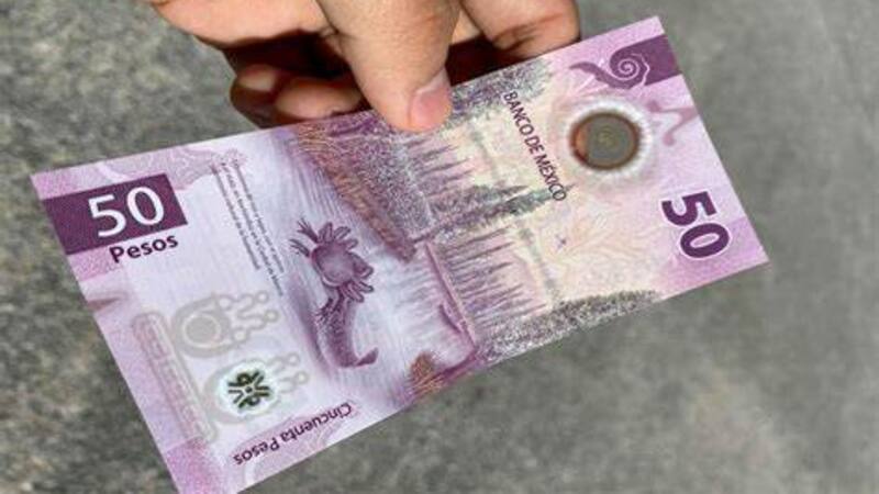 <div class="migrated-promo-image__description"><div class="migrated-promo-image__source">Fuente: Web</div></div>