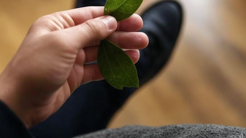 <div class="migrated-promo-image__description"><div class="migrated-promo-image__author">Grok 2</div></div>