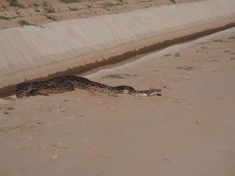 Cómo se dispone el canal. (Foto: Ángela Galarza).