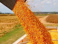 Dura respuesta de Carbap al Gobierno: quiere "seguir pescando en la pecera"