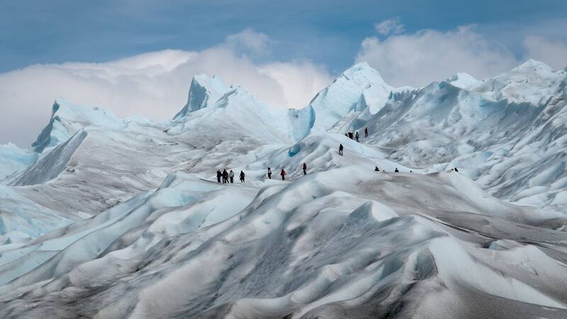Grupo de expertos científicos investiga la causa y las consecuencias de esta nieva rosa.