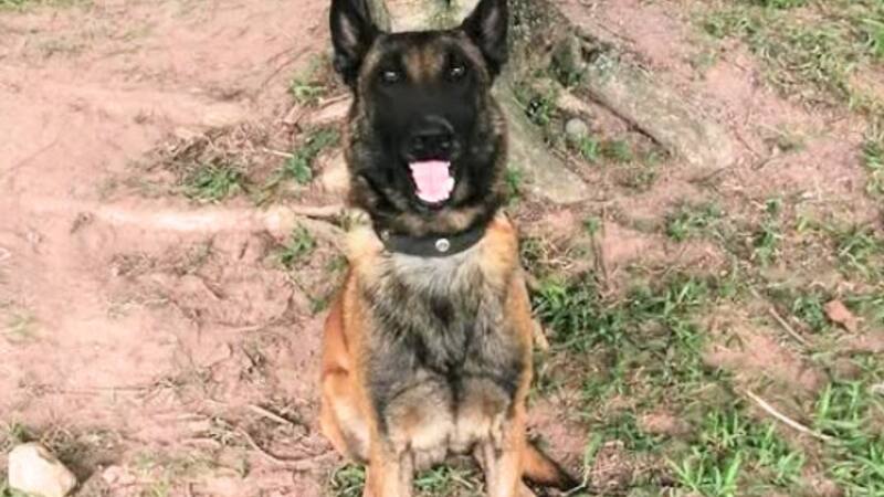 <div class="migrated-promo-image__description"><div class="migrated-promo-image__source">Fuente: Ejército Nacional de Colombia</div></div>