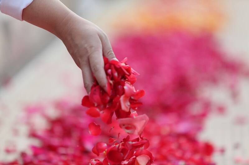 El perfume de las rosas es un gran analgésico para las migrañas. (Foto: Archivo).