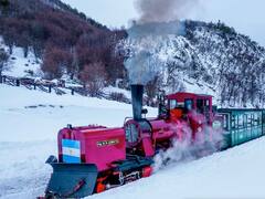Tren del Fin del Mundo: cuánto cuesta viajar en el histórico tranvía de Ushuaia