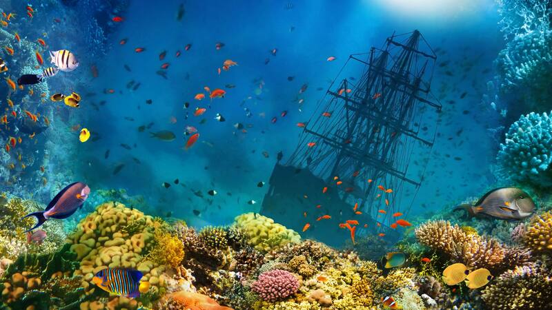 Descubrimiento sin precedentes: encuentran en Egipto un barco del siglo II a.C. junto a los restos del templo del dios Amón.