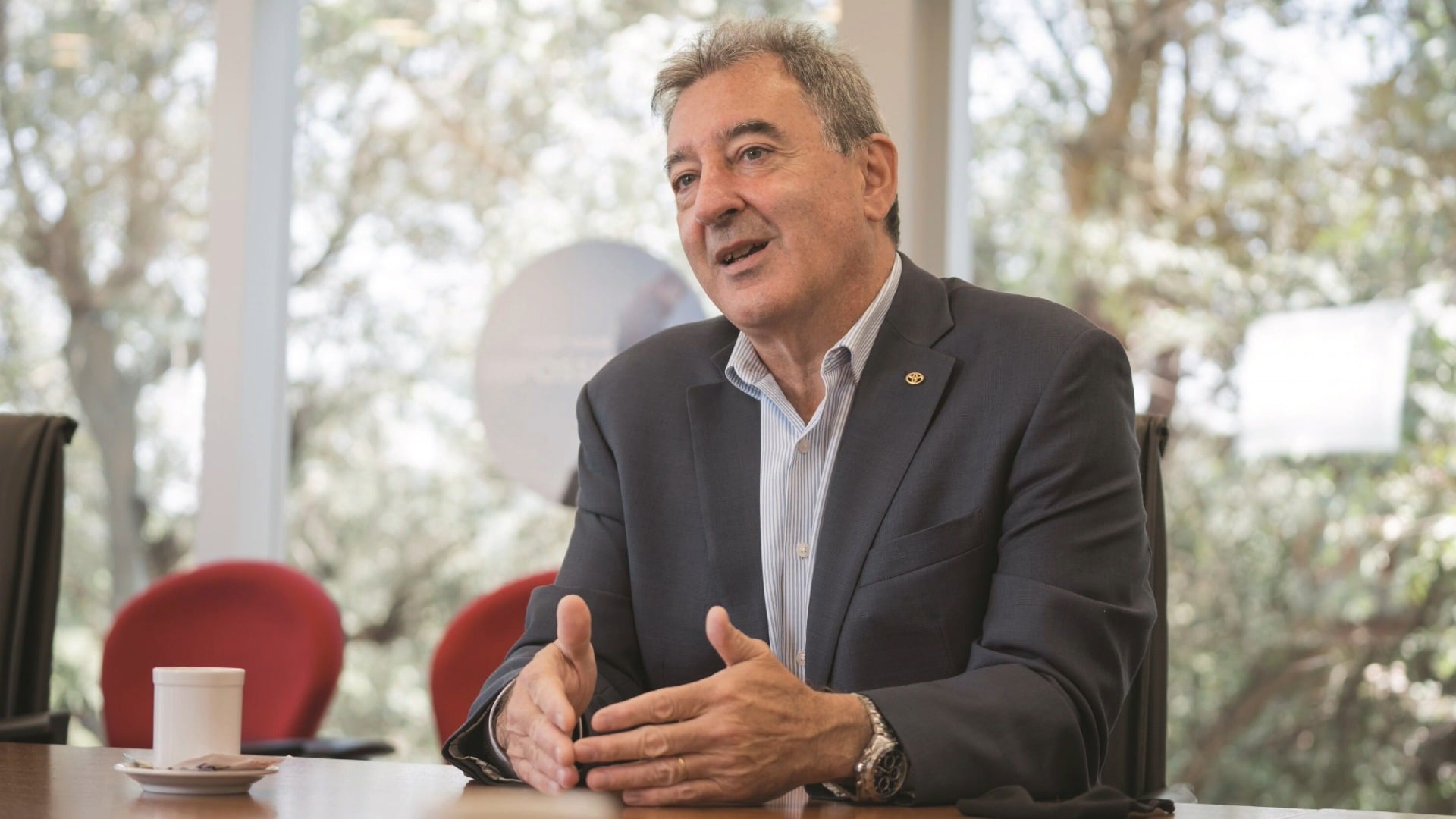 Autos chinos vs. nacionales: el CEO de una importante automotriz anticipó qué pasará con la industria