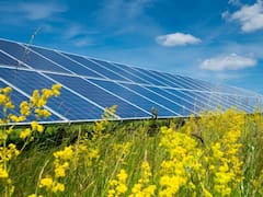 La planta solar más grande de Uruguay que costará 75 millones de dólares