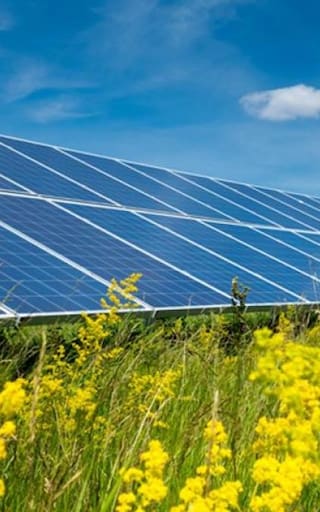 La planta solar más grande de Uruguay que costará 75 millones de dólares