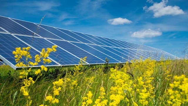 La planta solar más grande de Uruguay que costará 75 millones de dólares