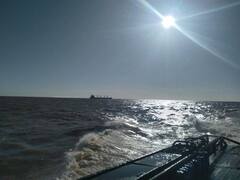 Volver a los cauces naturales: el estudio de Países Bajos que Argentina no puede ignorar