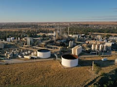 Por segunda vez en el año, una de las mayores petroquímicas de la Argentina para su planta y suspende personal