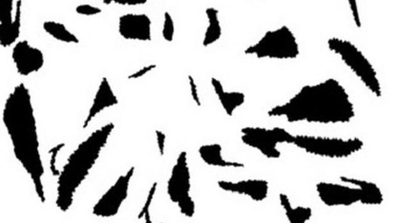 ¿Estás preparado para resolverlo?