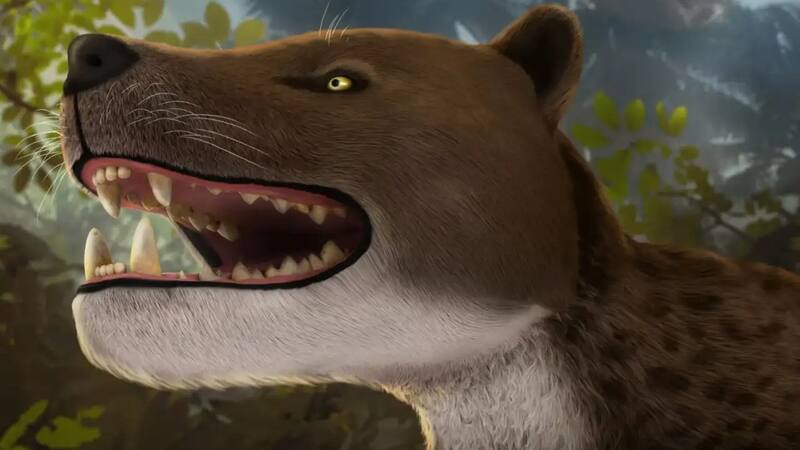 El cráneo de Bastetodon syrtos fue hallado en la depresión de Fayum, una zona clave para el estudio de los mamíferos prehistóricos en África.