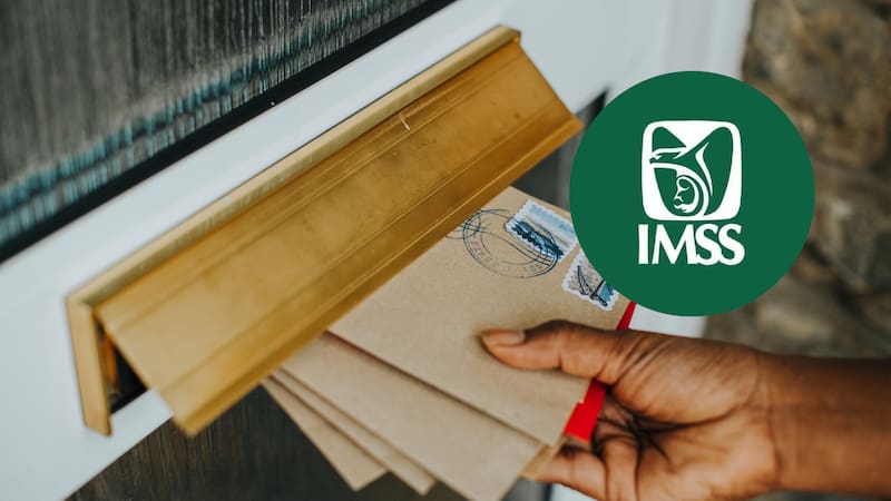 Contratar el Seguro Social para la Familia del IMSS es un trámite sencillo. (Foto: Freepik.es)