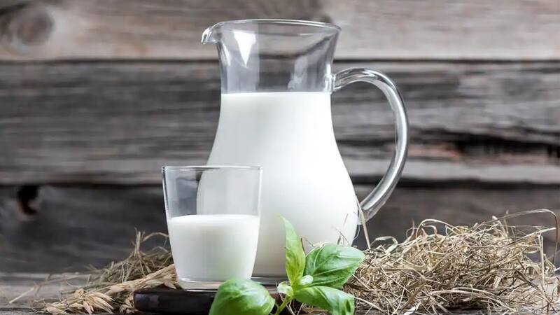 Preocupante hallazgo científico: detectan gripe aviar contagiosa para los humanos en leche cruda.