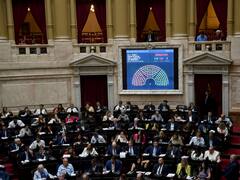 ¿Puede Diputados modificar los cambios del Senado? Los argumentos a favor y en contra de los especialistas