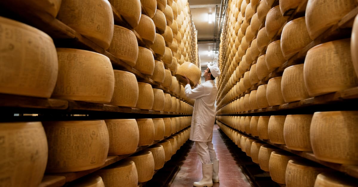 Collateral Quality Test Extreme heat puts half a million cheeses used as bank collateral at risk