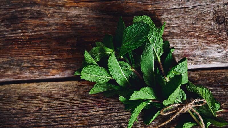 La planta medicinal gallega capaz de disminuir los niveles de colesterol y regular el azúcar en sangre.