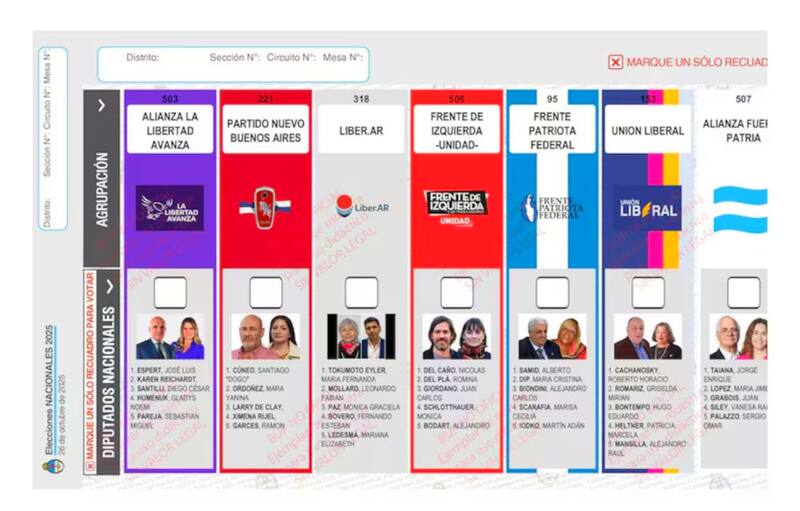 Elecciones 2025: cómo es la boleta